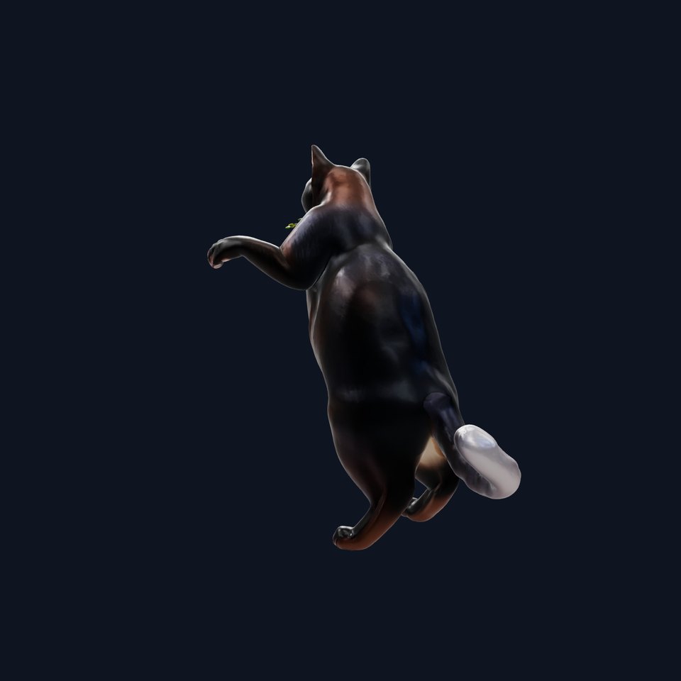 Black Cat Standing Pose 3D Model
