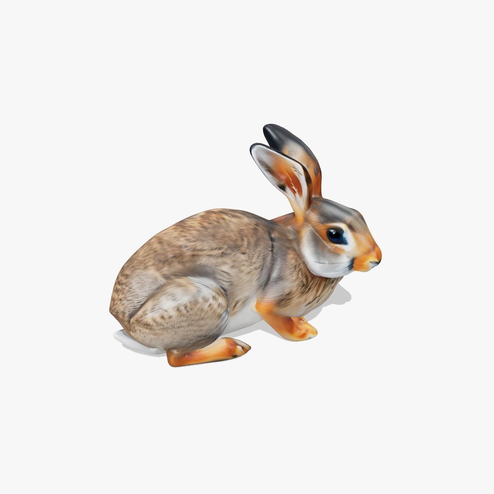 Realistic Wild Rabbit 3D Model