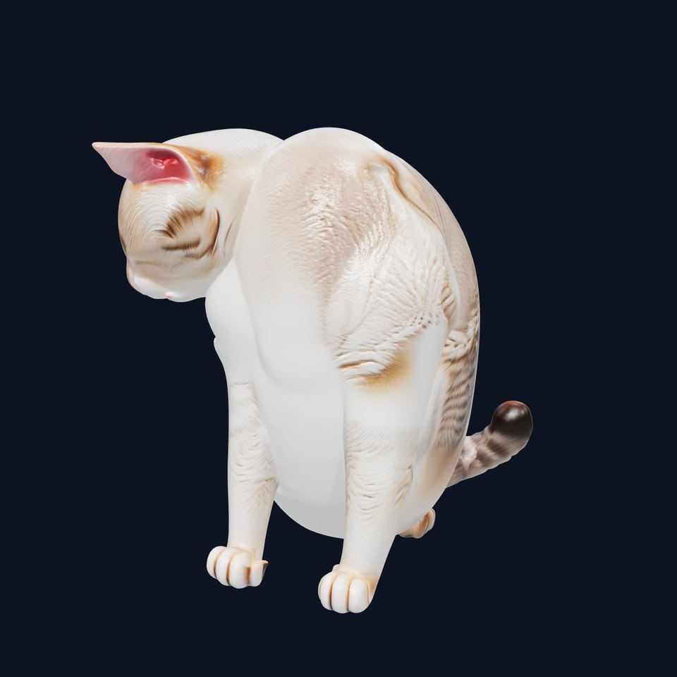 Domestic Cat Sitting Pose Model