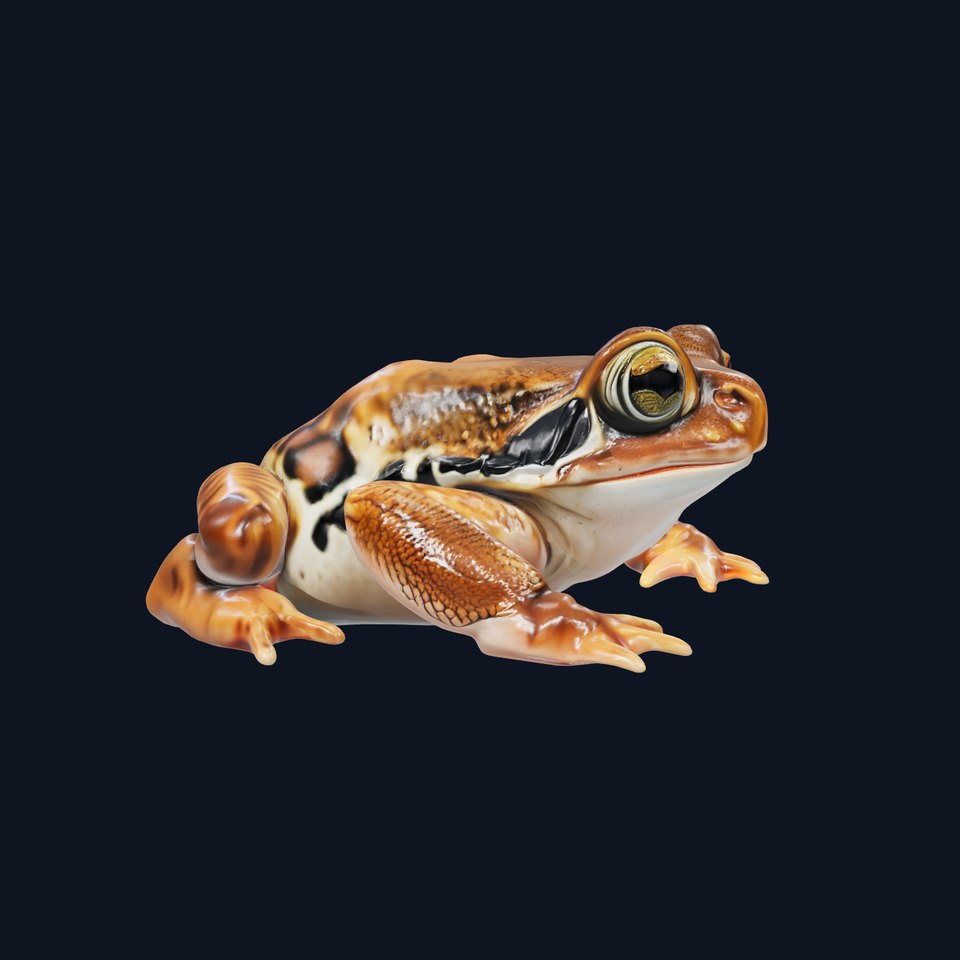 Realistic Tropical Frog 3D Model with High-Quality Textures