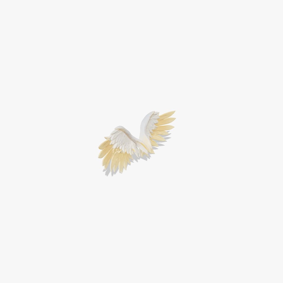 Shimmering Angelic Wings with Golden Highlights