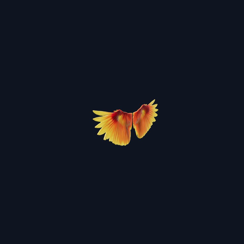 Dawn Parrot Wings with Orange-Yellow Gradient Feathers