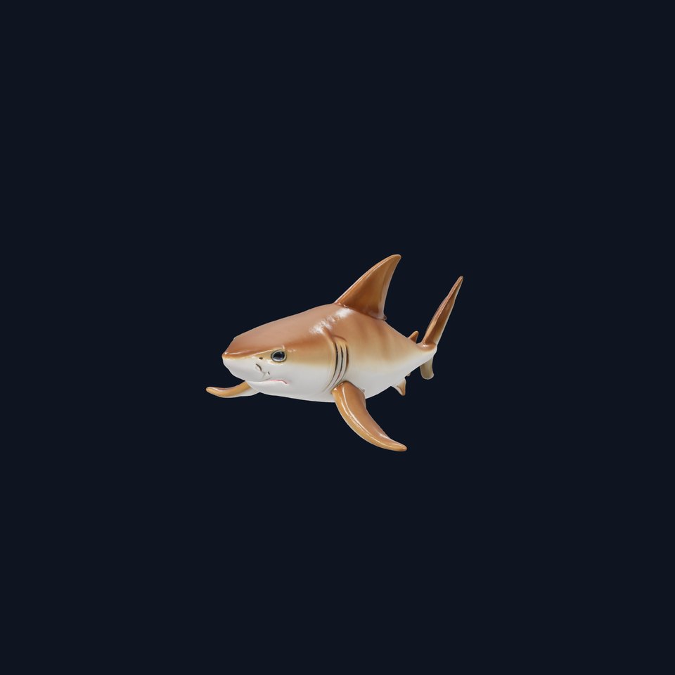 Horn Shark 3D Model with Spine-Covered Back