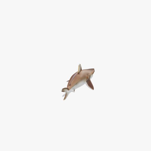 Whitetip