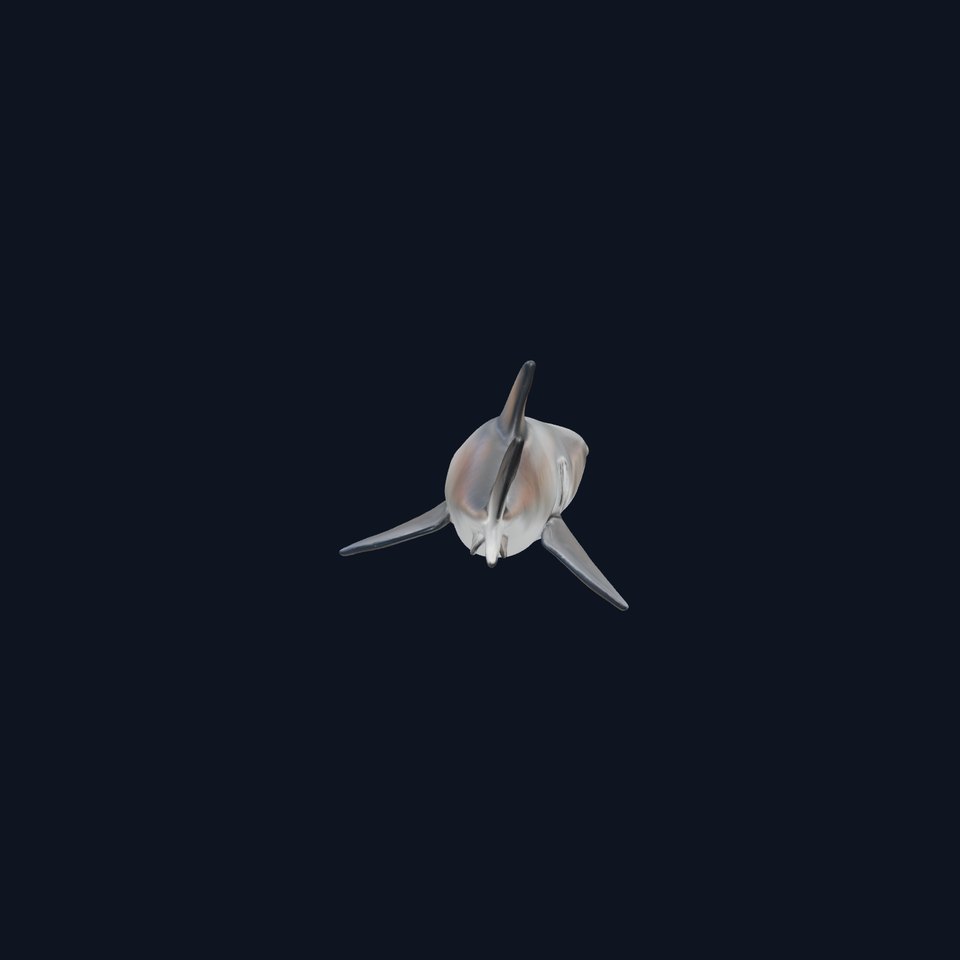 Hammerhead Shark 3D Model with Wide-Set Eyes