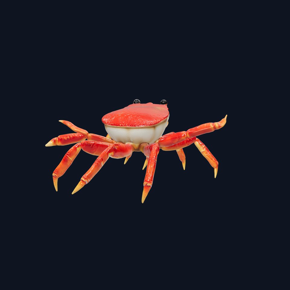 Coral Crab Symbiotic Sea Creature 3D Model