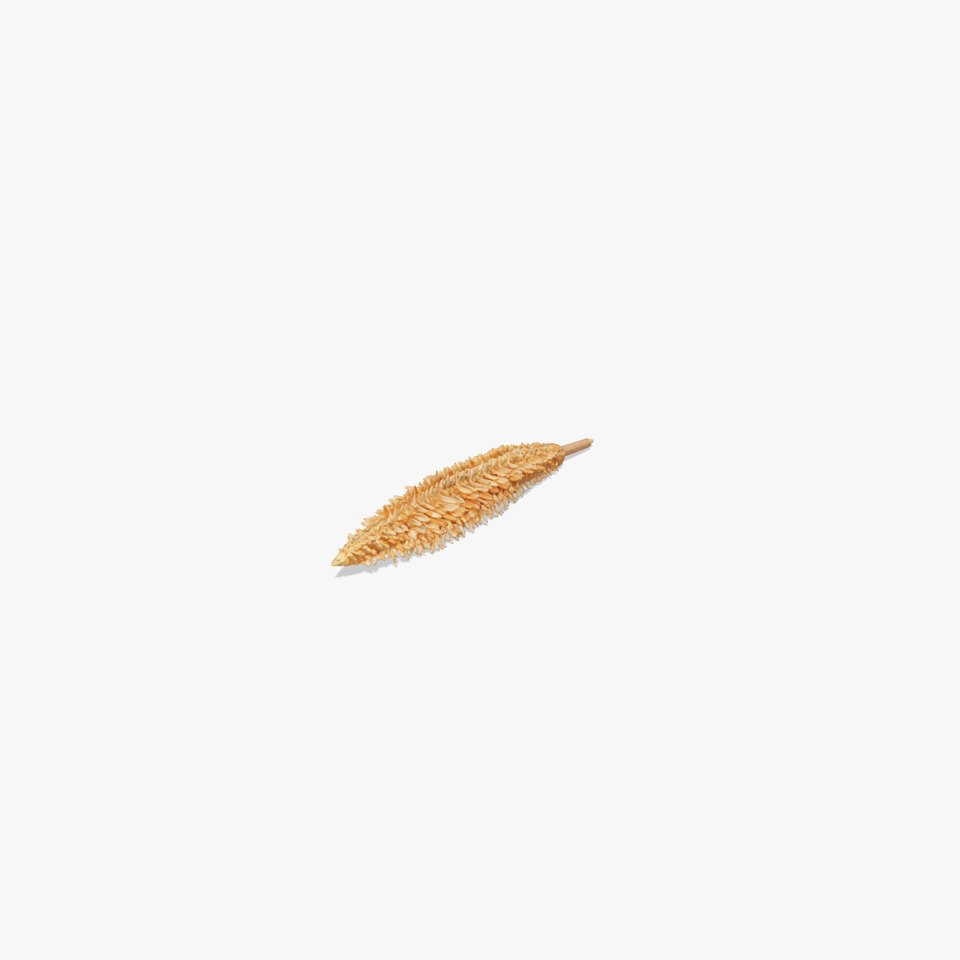 Sea Pen Coral Quill Model