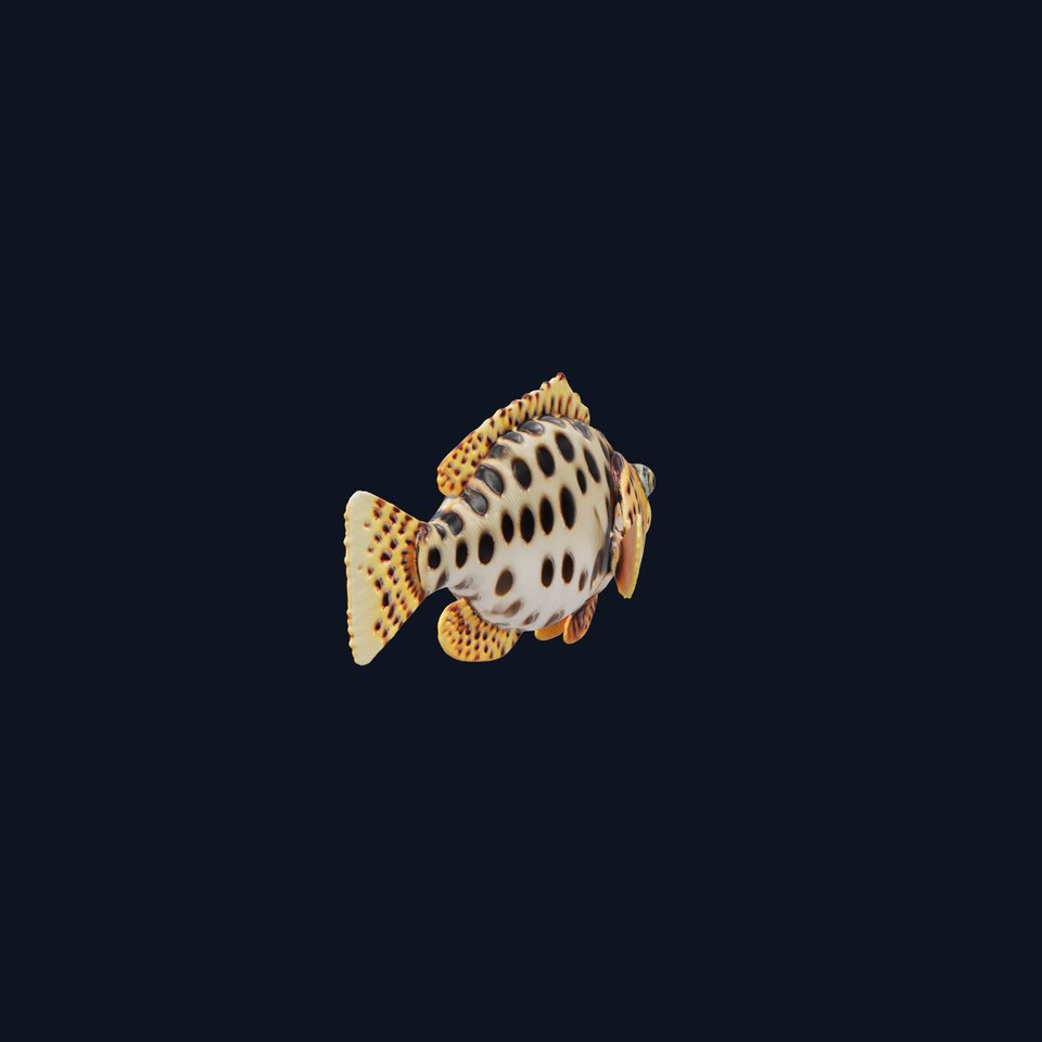 Spotted Handfish 3D Model with Unique Pattern