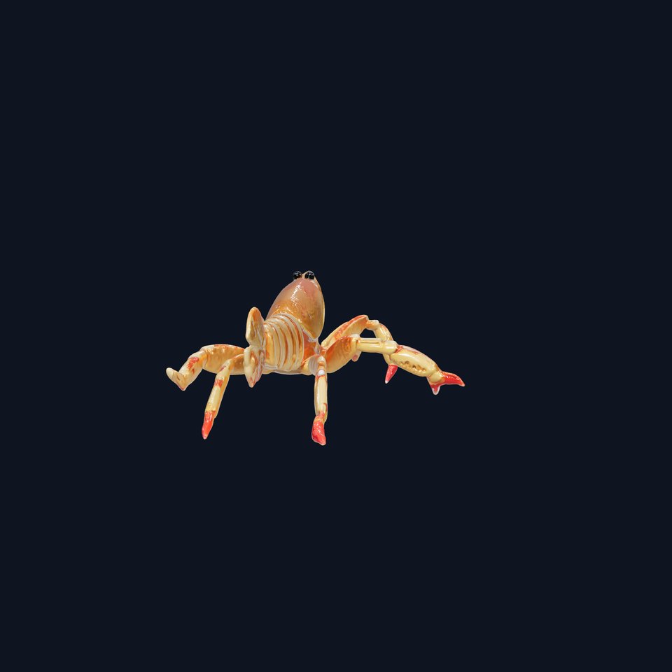 Arrow Crab Detailed 3D Model with Elongated Body and Pointed Head