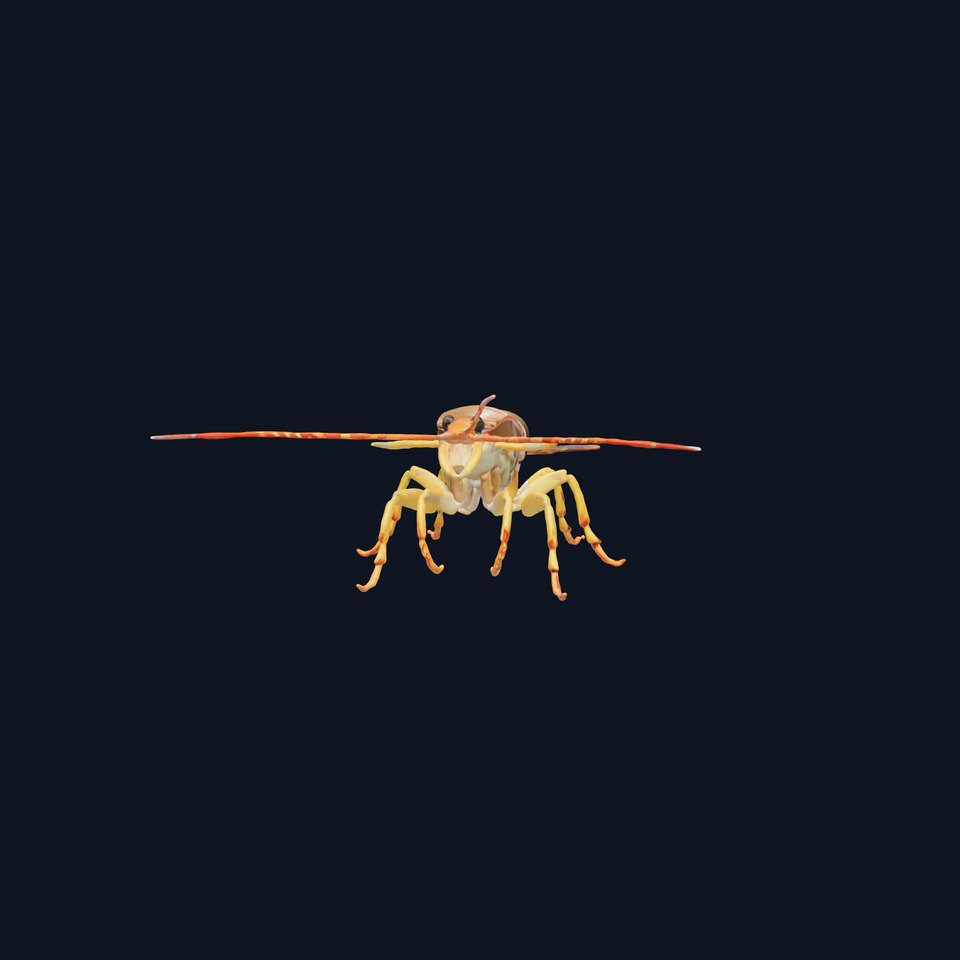 Peacock Mantis Shrimp Model with Iridescent Colors