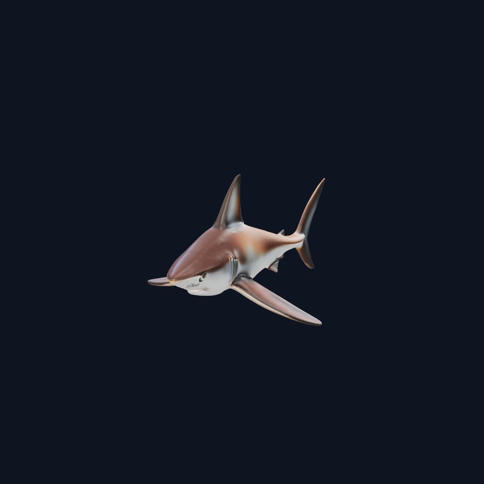 Thresher Shark with Long Tail Fin 3D Model