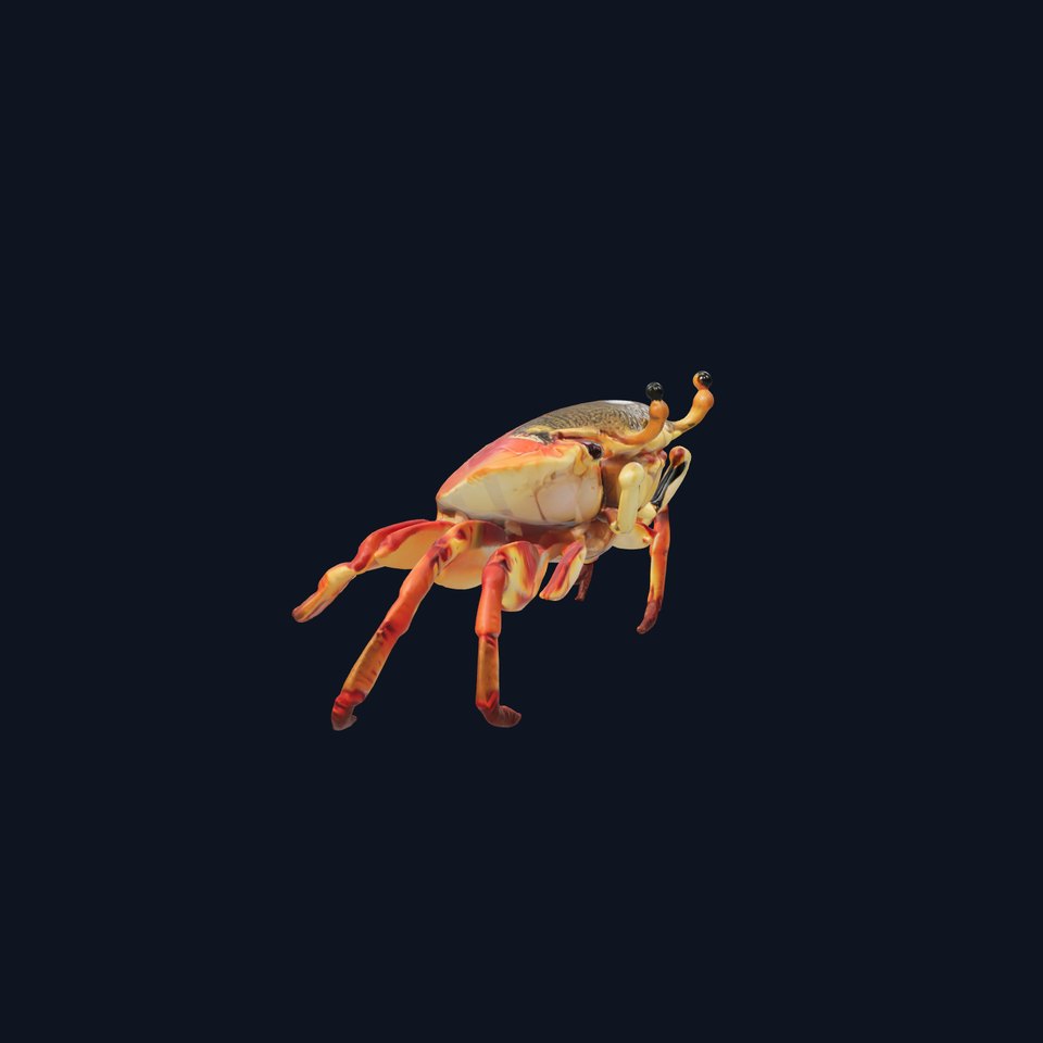 King Crab Model with Spiky Exoskeleton