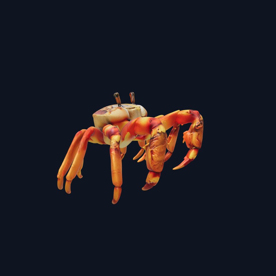 Coral Crab Model with Symbiotic Detail