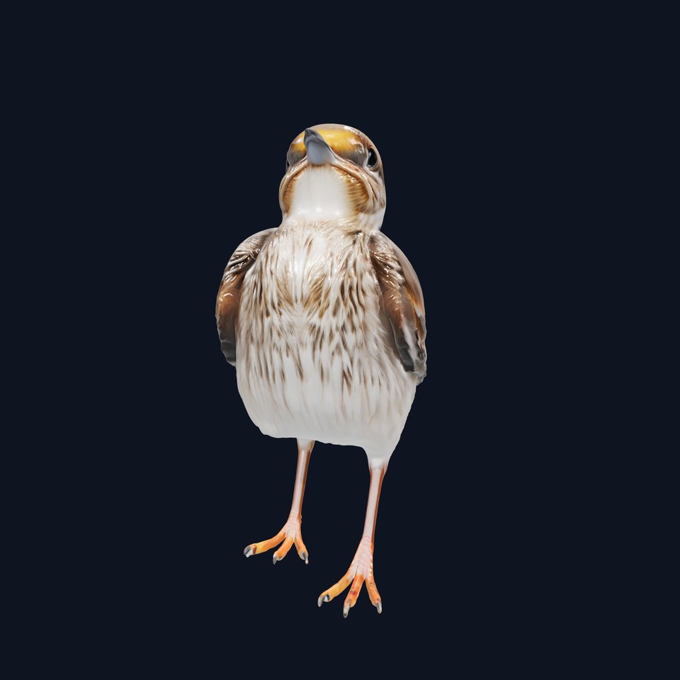 Rock Sparrow 3D Model with Detailed Feathers