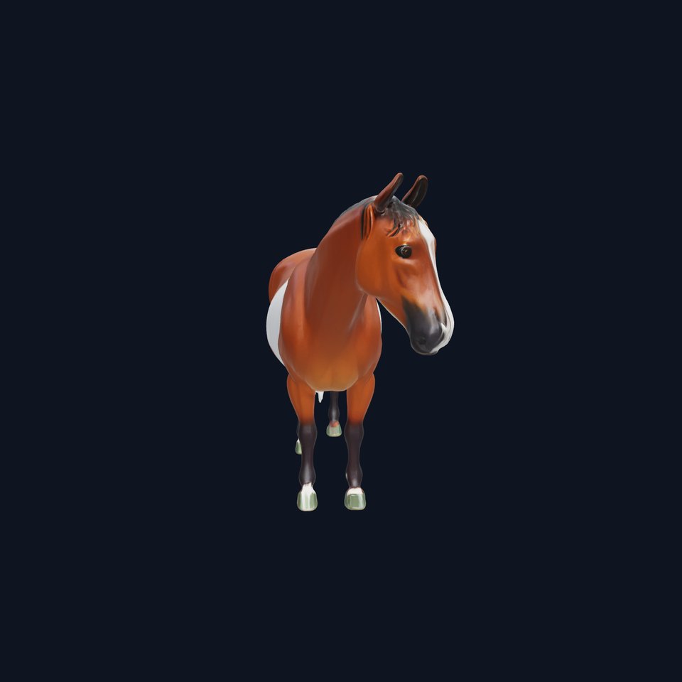 Bay Warmblood Horse Model with White Markings