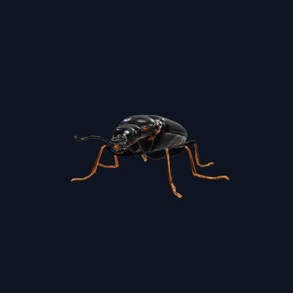 Space Scout Beetle with Microscopic Legs and Telescopic Eyes