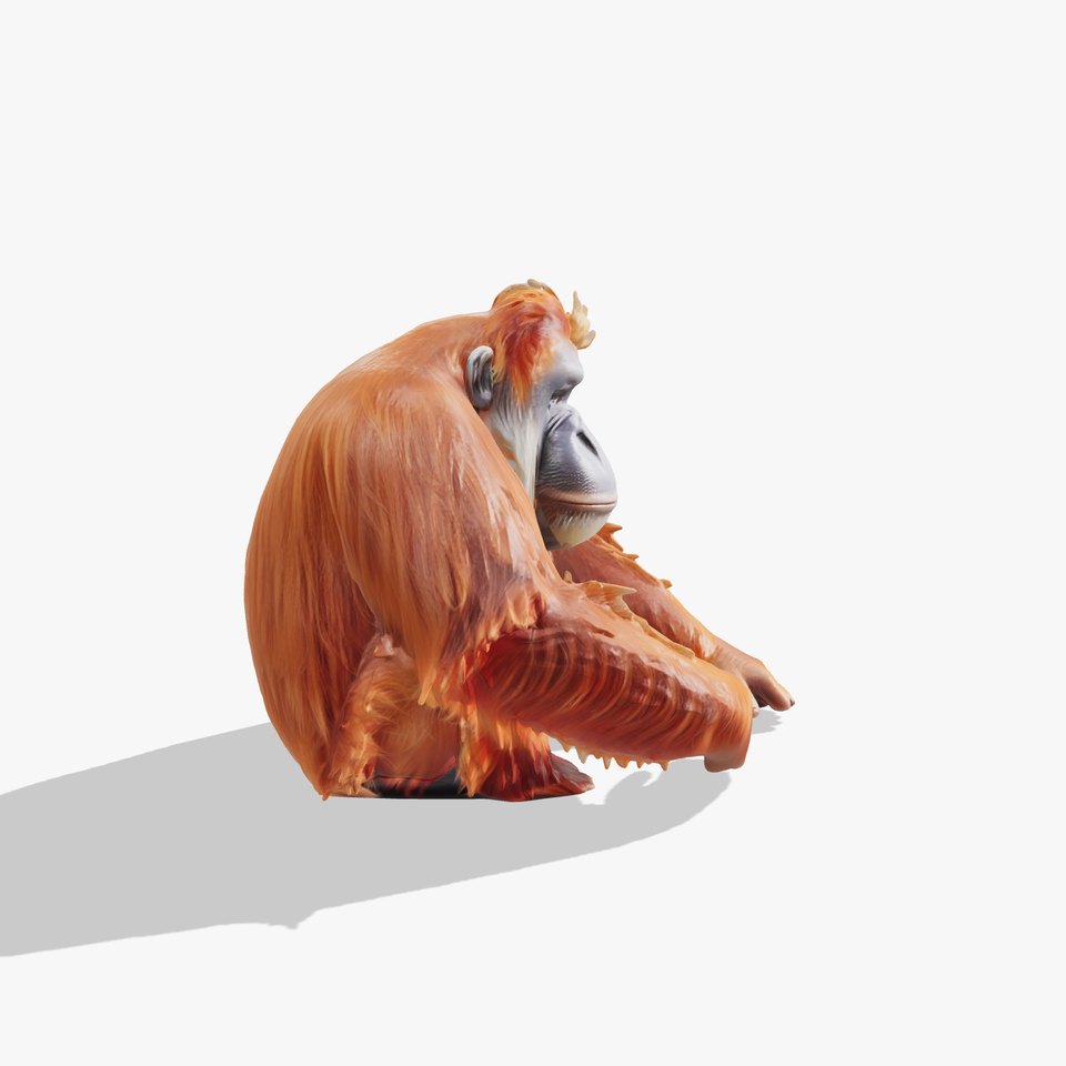 Reddish-Brown Orangutan 3D Model