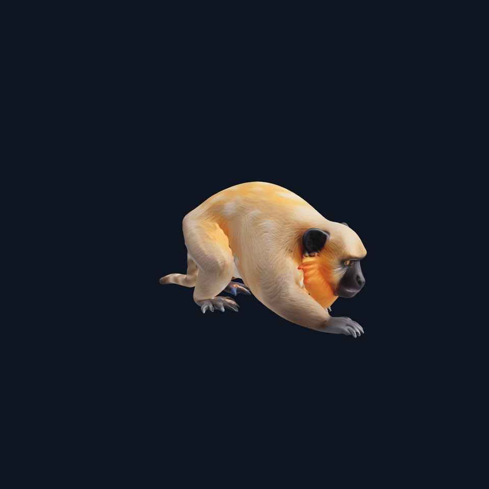 Douc Langur Monkey with Vibrant Fur Textures 3D Model