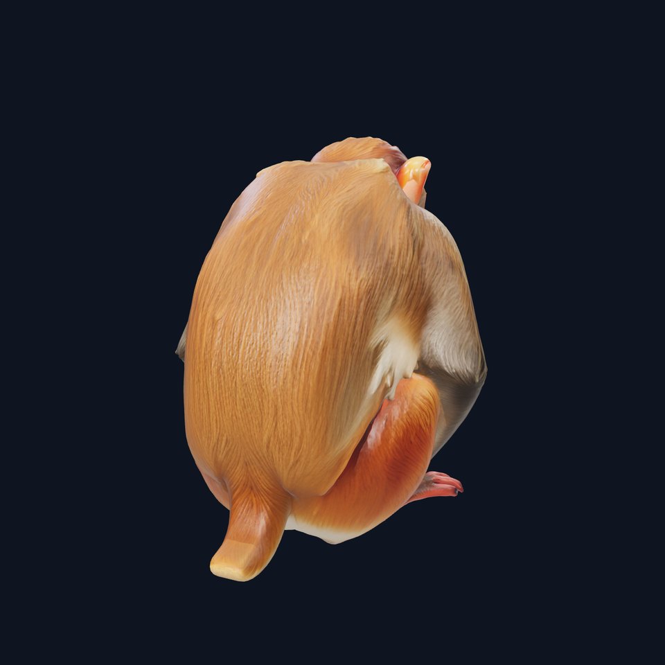 Proboscis Monkey 3D Model with Detailed Reddish-Brown Fur