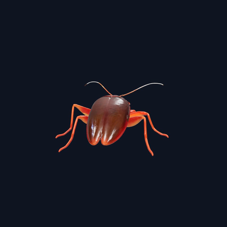 Urban Cockroach Realistic 3D Model with Detailed Textures