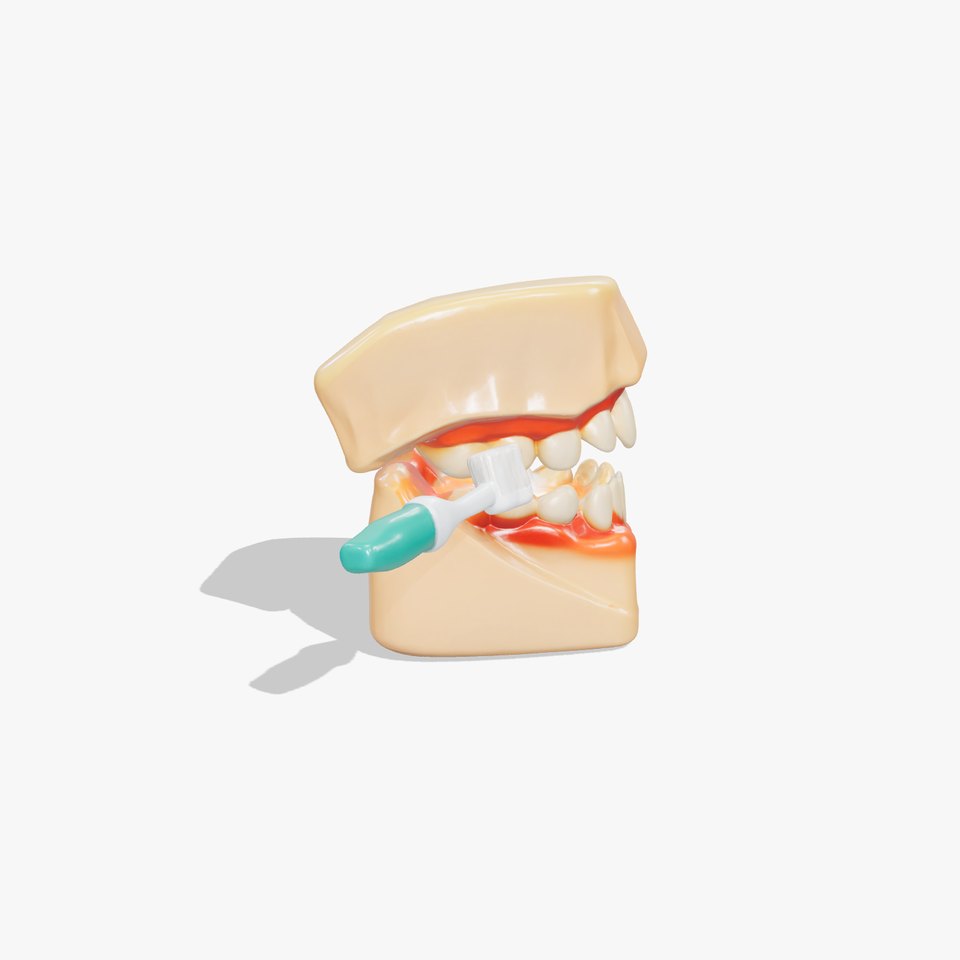 Dental Oral Hygiene Teaching Model with Toothbrush