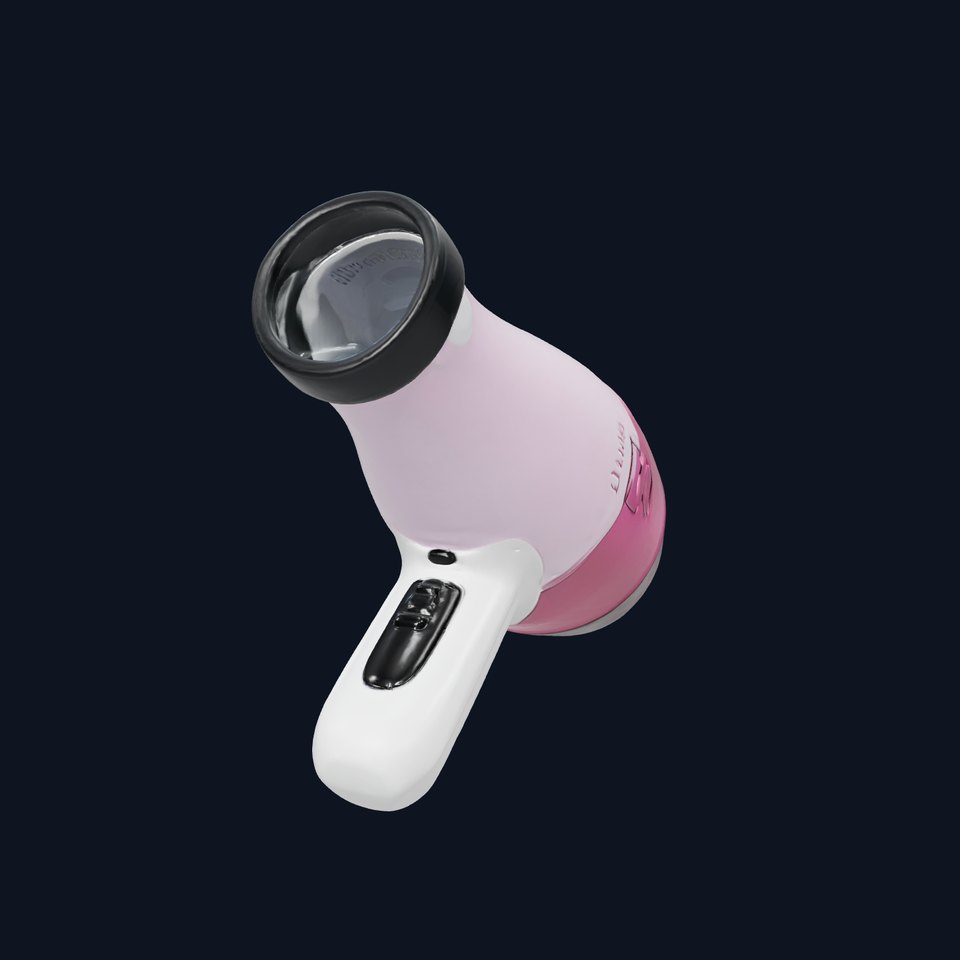 Professional Hair Dryer with Ionization Function