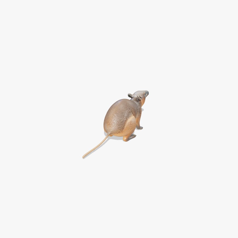 Serene Aardvark Model Evoking Tranquility