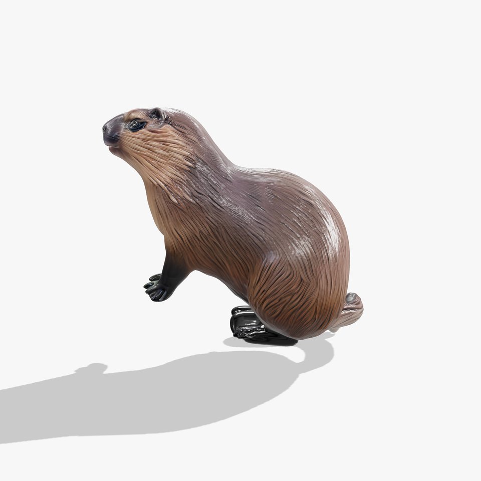 Nutria Model with Natural Habitat Base