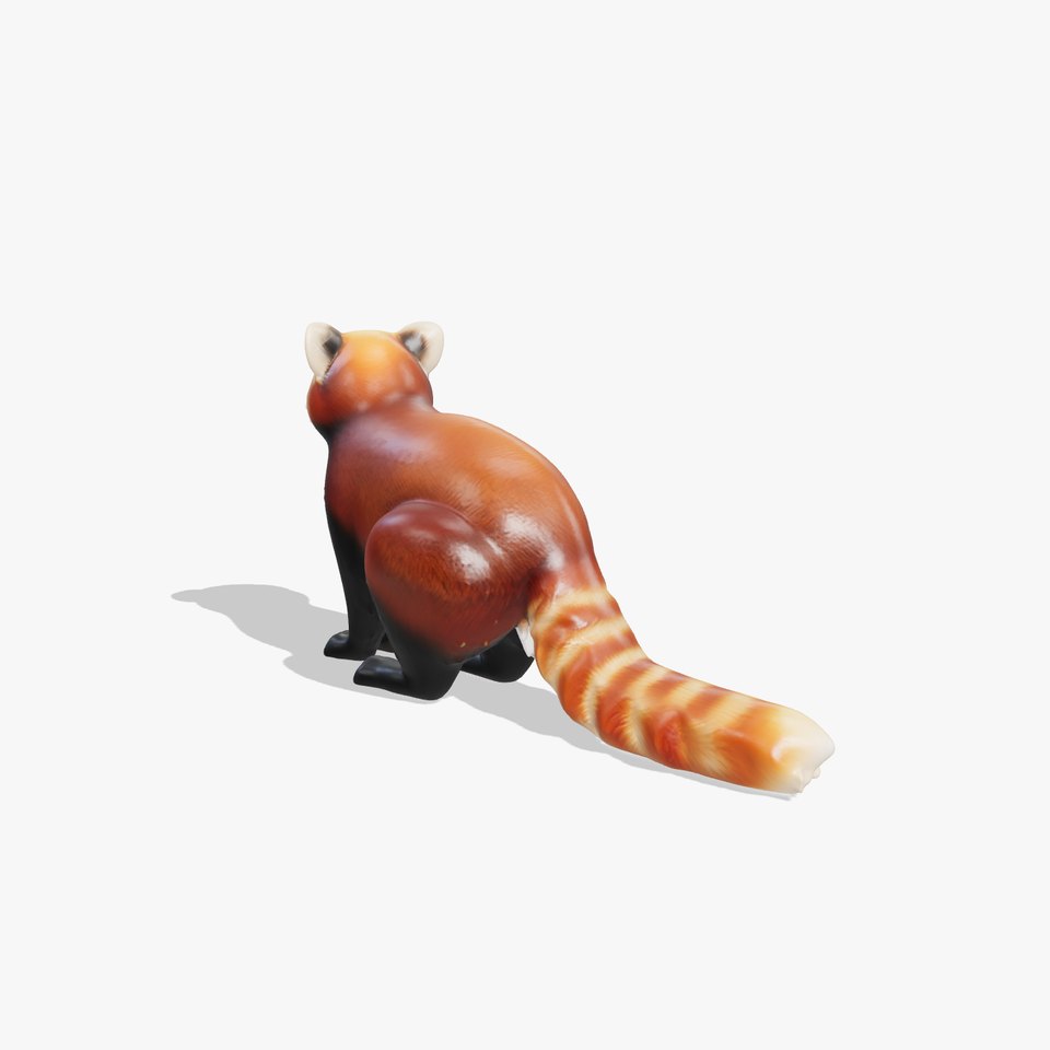 Red Panda Realistic Fur 3D Model