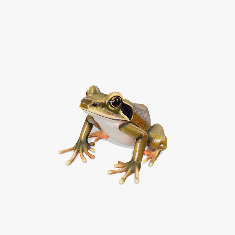 Realistic Sitting Frog with Detailed Textures