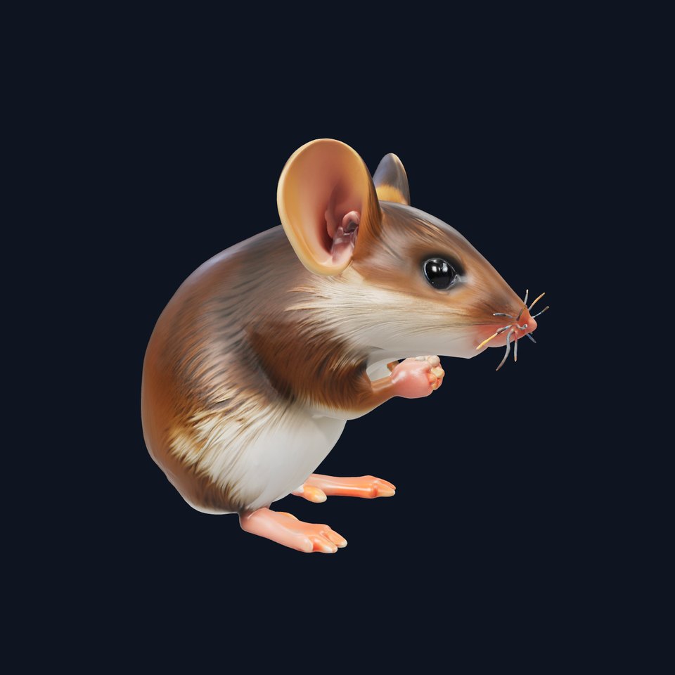 Adorable Cartoon Mouse Character Model