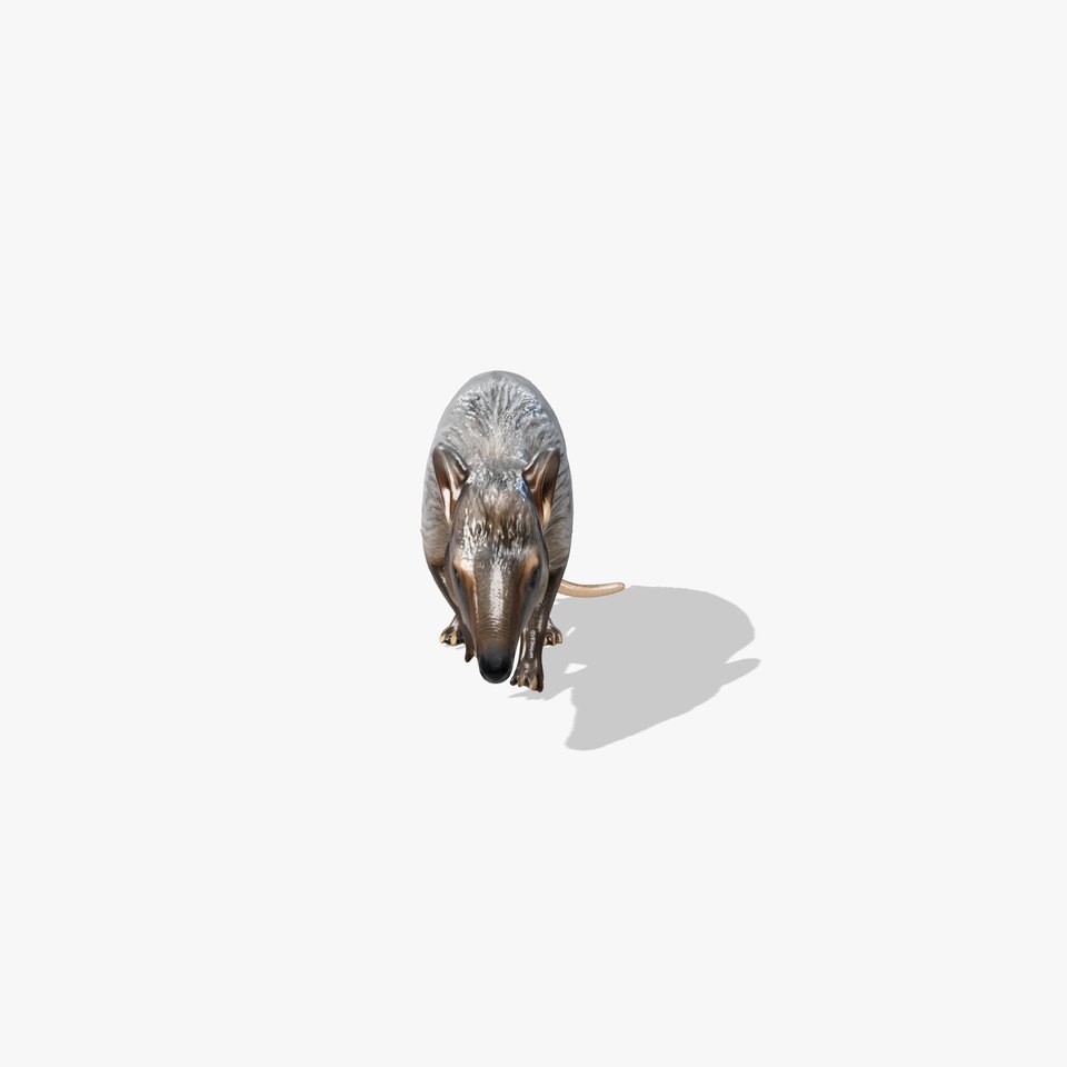 Savanna Survivor Aardvark Realistic model pack