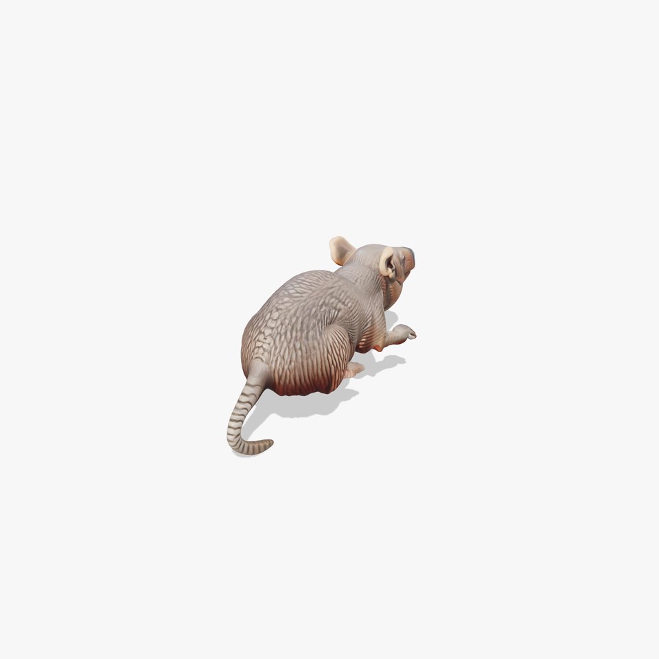 Aardvark Burrowed Rest Model Pack