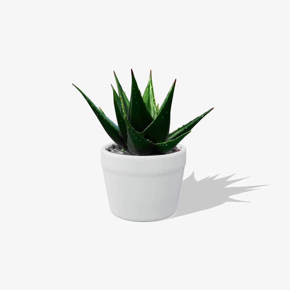 Potted Aloe Vera Plant Health Decor model pack