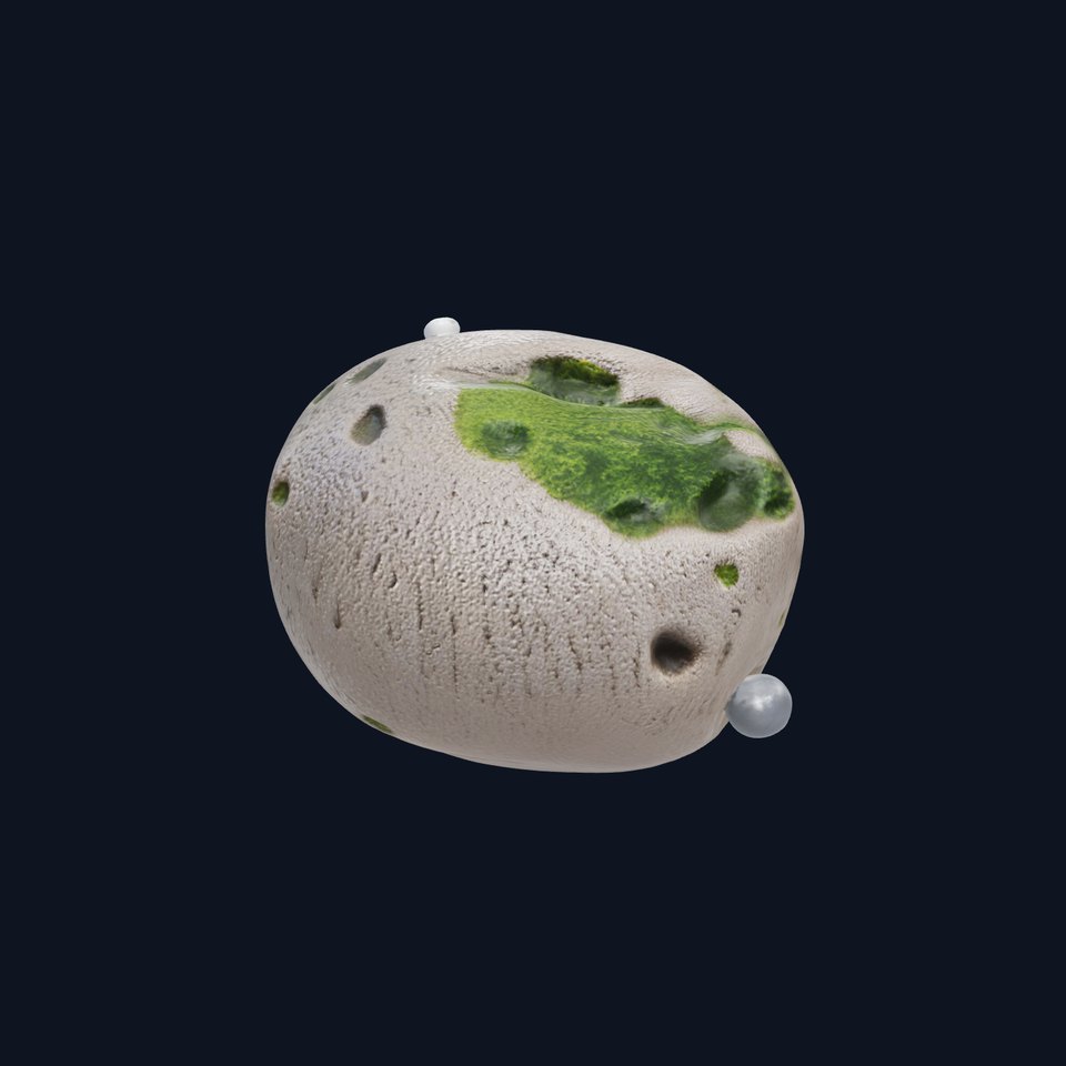 Mossy Pebble with Dewdrops model pack