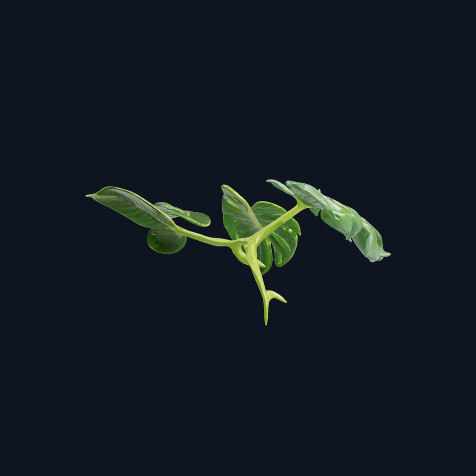 Monstera and Alocasia Leaves Botanical Art model pack