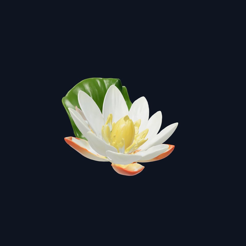 Water Lily Yellow Flower Detailed Model Pack