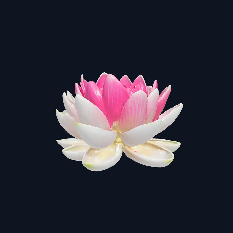 Classic White Water Lily with Floating Leaves model pack