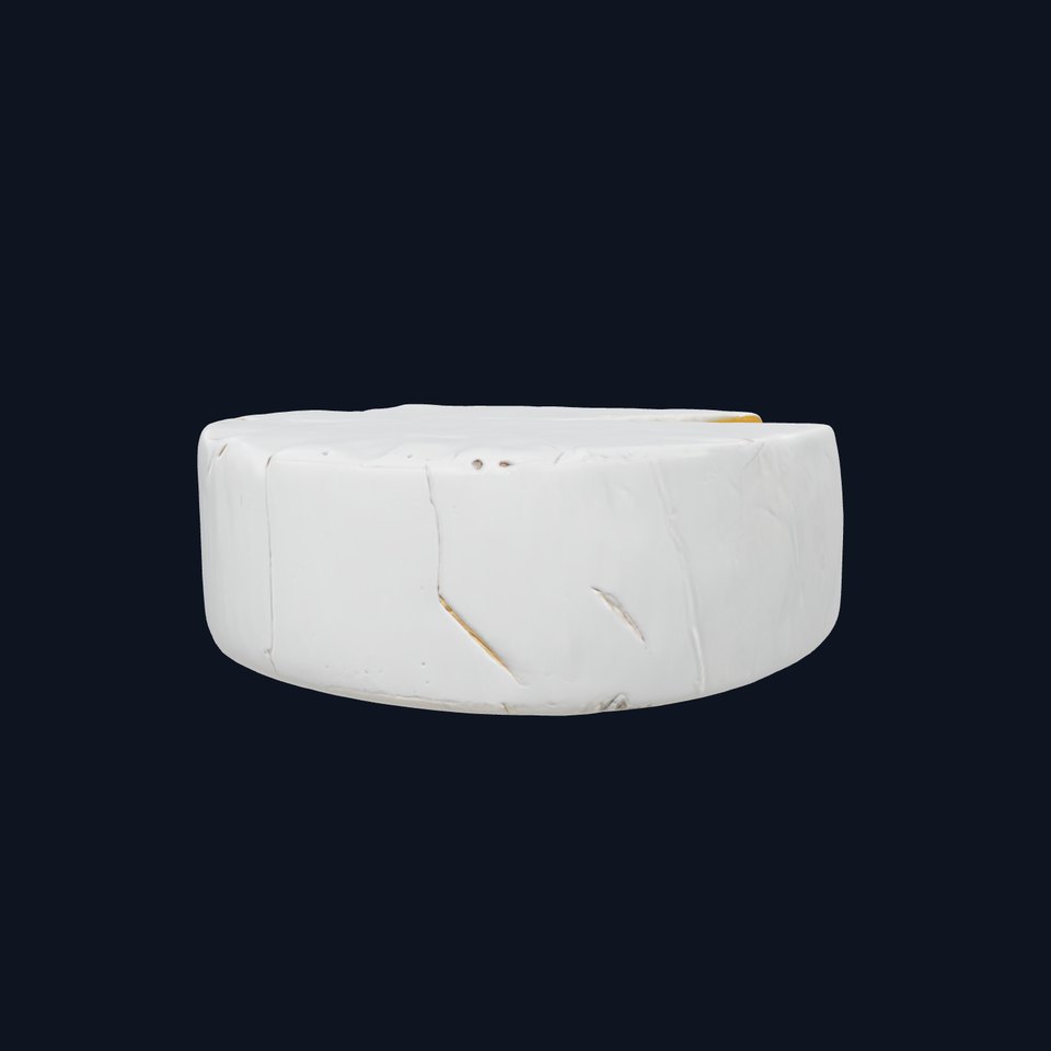 Brie Cheese Round Elegant Model Pack