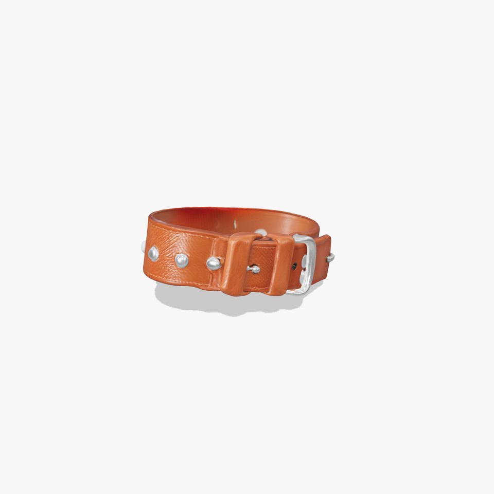 Cowhide Collar with Metallic Studs model pack