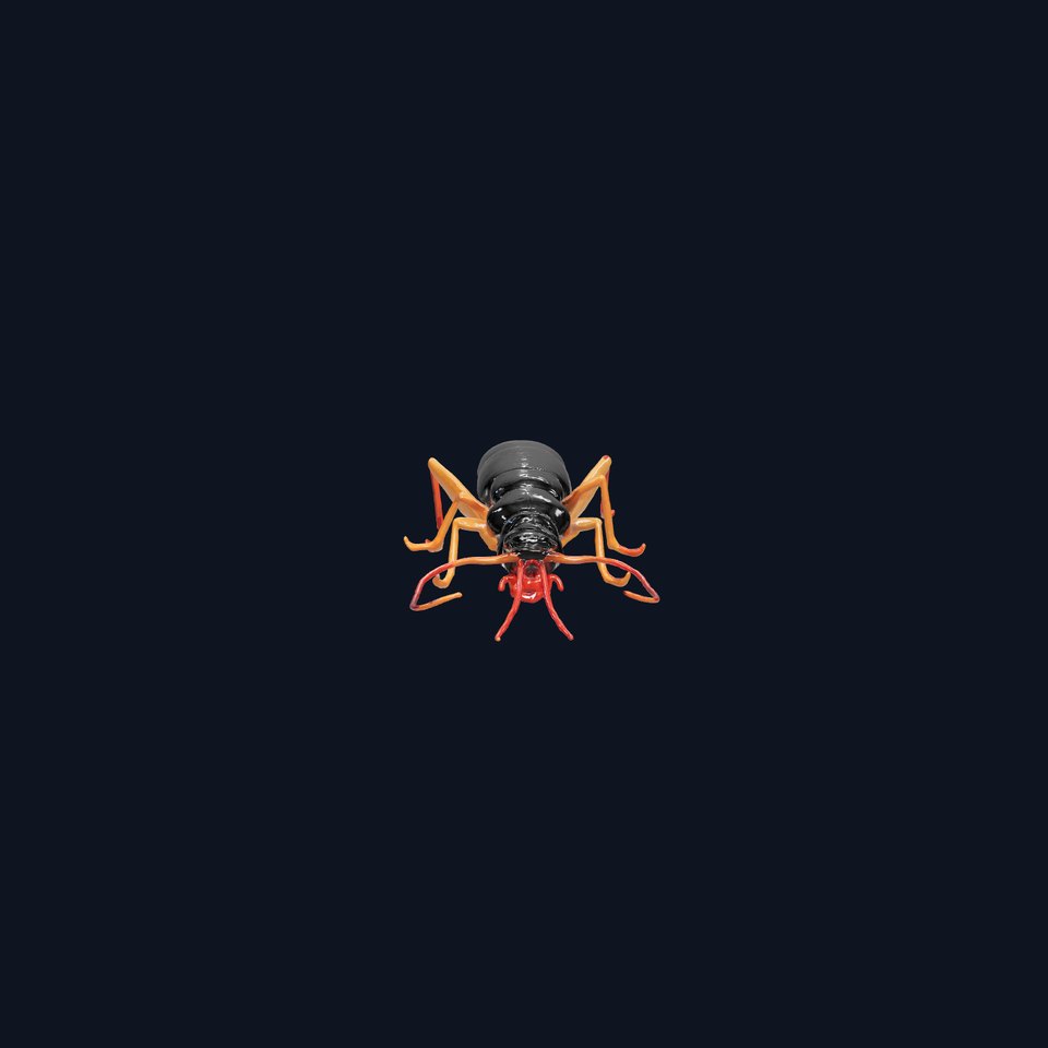 Realistic Earwig Insect Model Pack