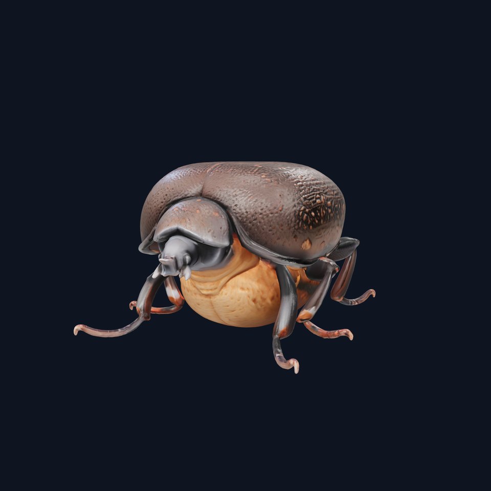 Robust Dung Beetle Exoskeleton model pack