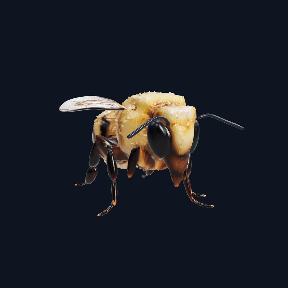 Authentic Bumblebee Model Pack with Detailed Texturing