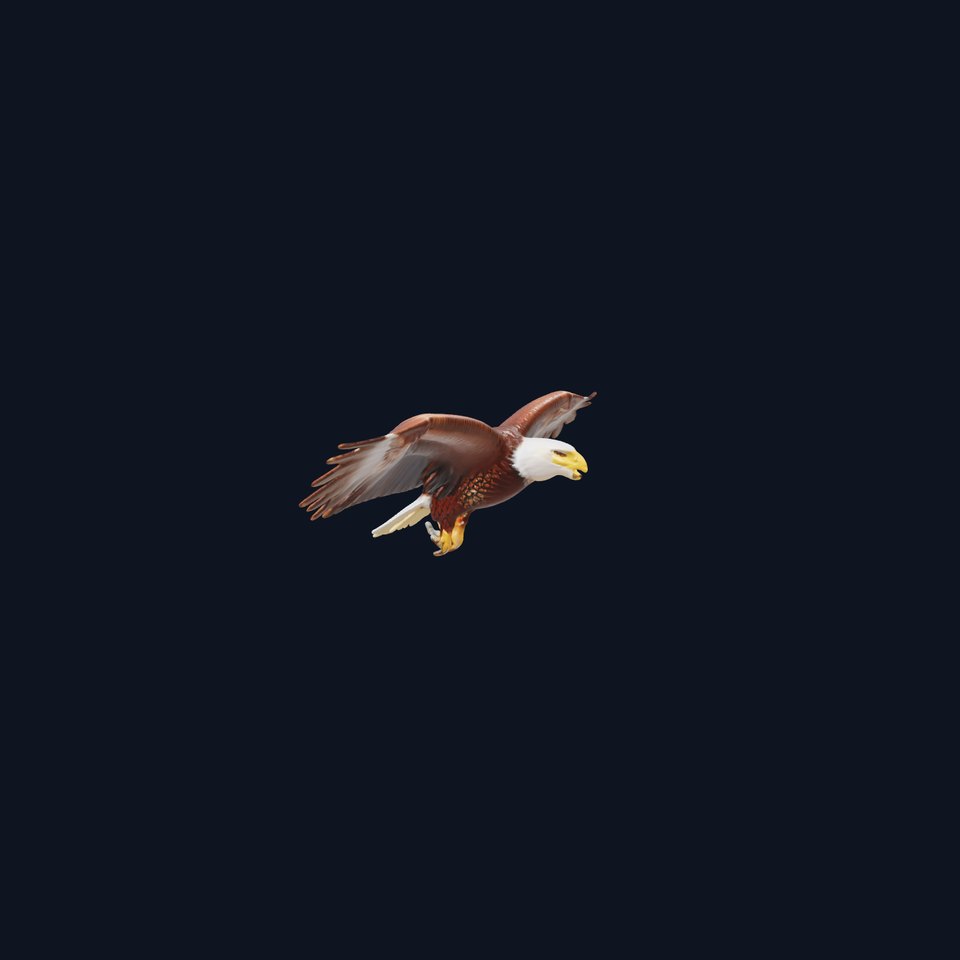 Majestic Bald Eagle 3D model pack
