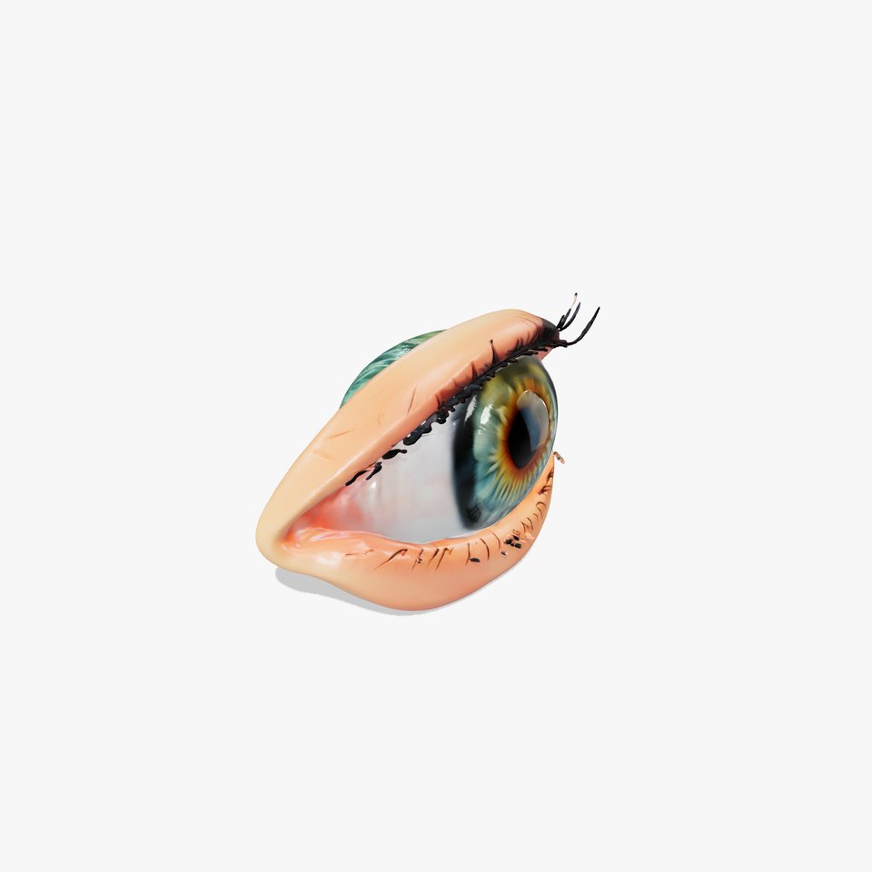 Realistic Human Eye Model Pack with Detailed Iris