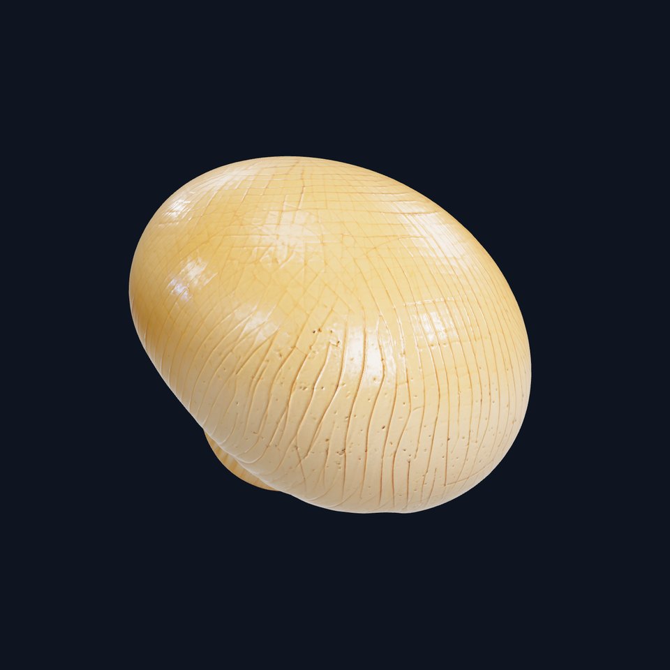 Shiitake Mushroom Photorealistic 3D model pack