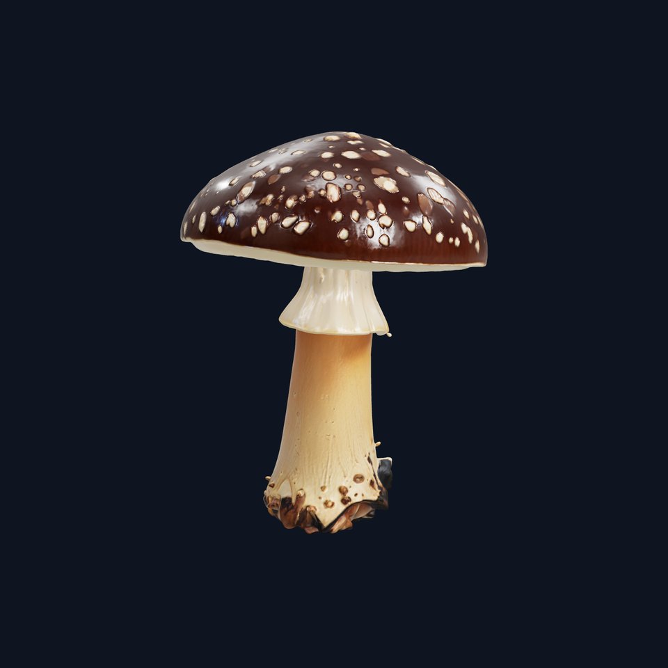 Realistic Forest Mushroom Model Pack with Textured Details