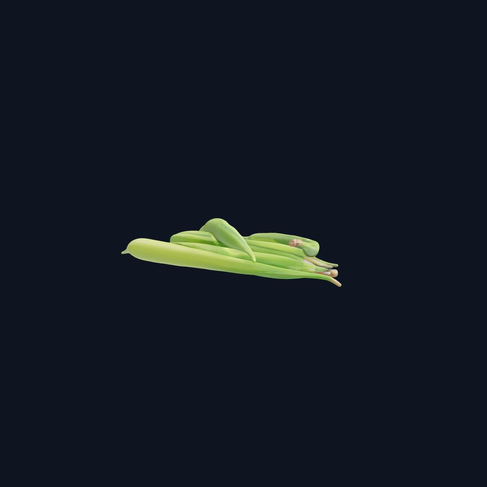 Realistic Green Beans Vegetable 3D model pack