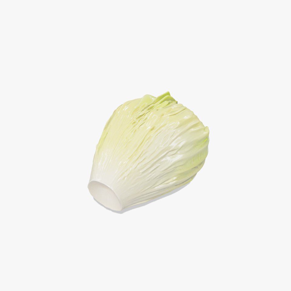 Realistic Chinese Cabbage Model Pack