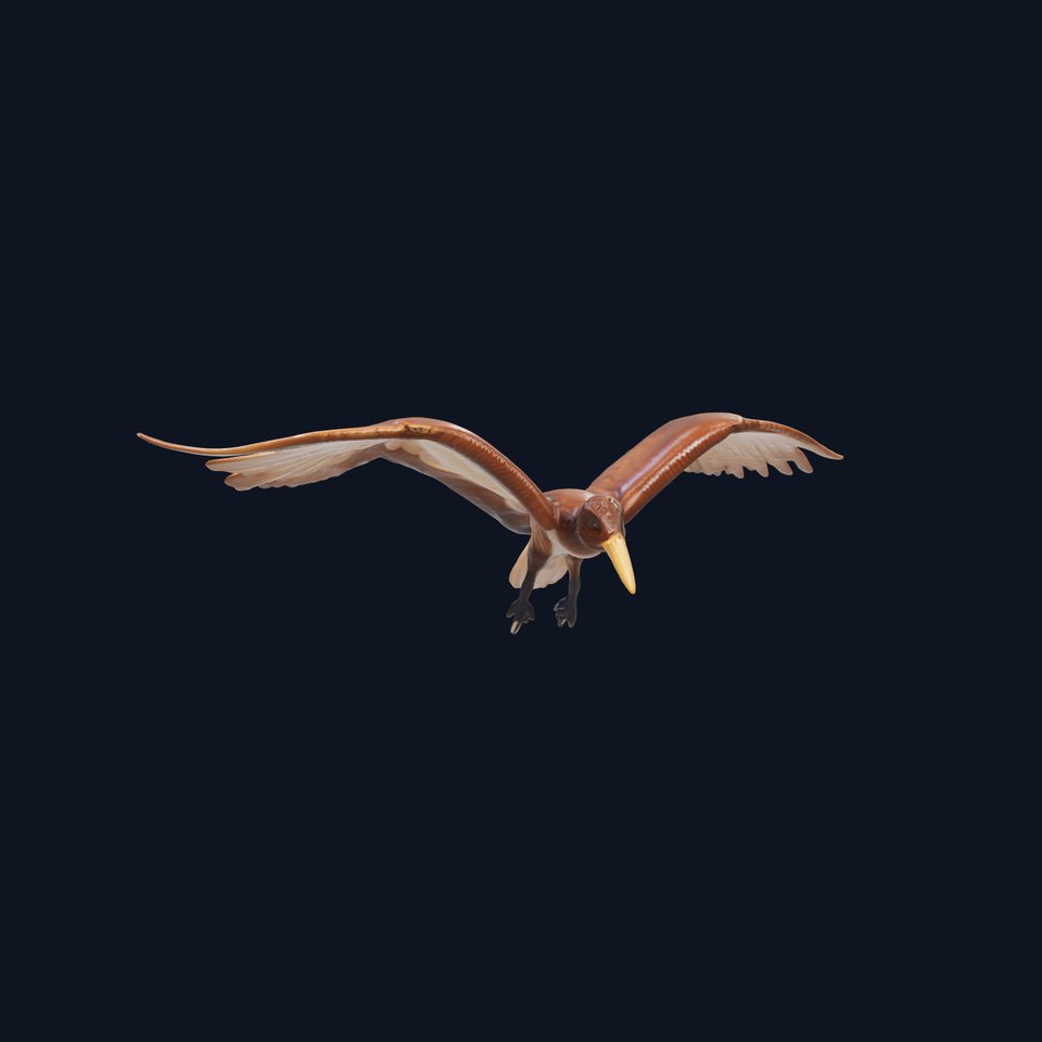 Pterodactyl Dynamic Flying Sculpture model pack
